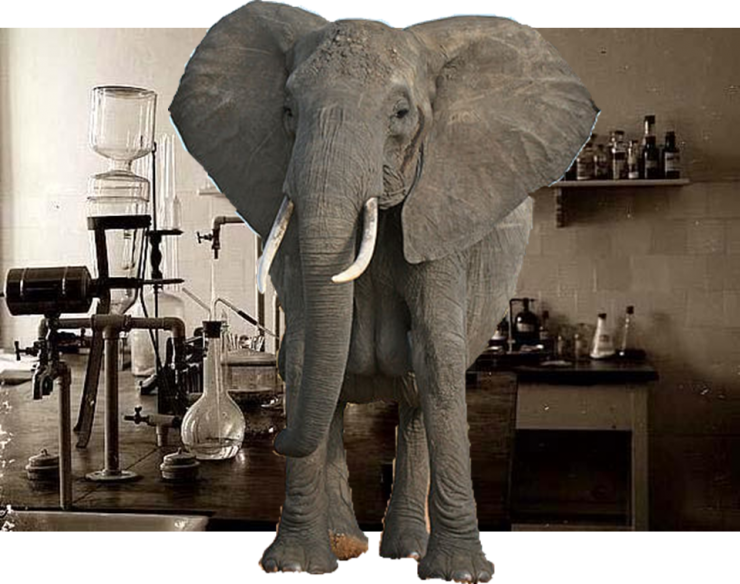 Elephant in the Chem Lab