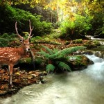 Quenching a Thirst – God’s Surprise Gifts, Even in Lent Quenching a Thirst – God’s Surprise Gifts, Even in Lent