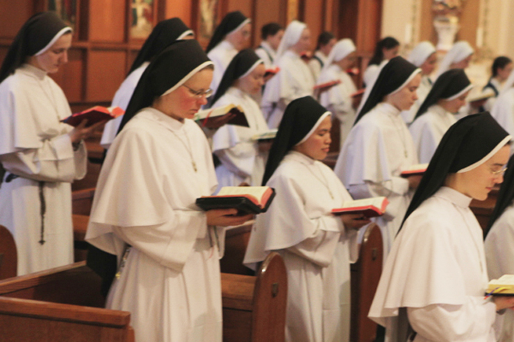 Dominican Sisters of Mary (Ann Arbor)