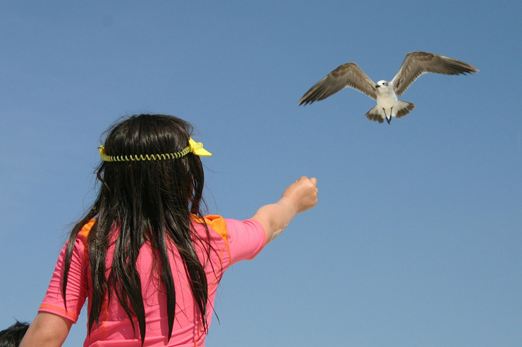 girl-and-sea-gull-featured-w740x493