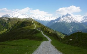 A Mountain Trail
