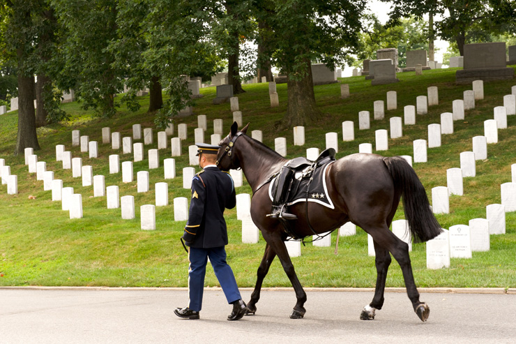 Riderless Horse with boot reversed in stirrup being led in Funeral Procession at Arlington National Cemetery