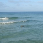The Sea Within The Sea Within