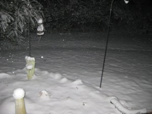 snow20110109